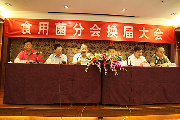 專(zhuān)題報(bào)道