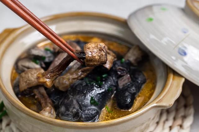 國家蘑菇地理：中國哪里的蘑菇最好吃？