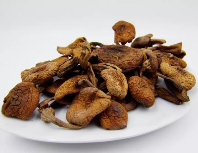 國家蘑菇地理：中國哪里的蘑菇最好吃？
