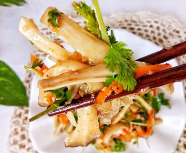國家蘑菇地理：中國哪里的蘑菇最好吃？