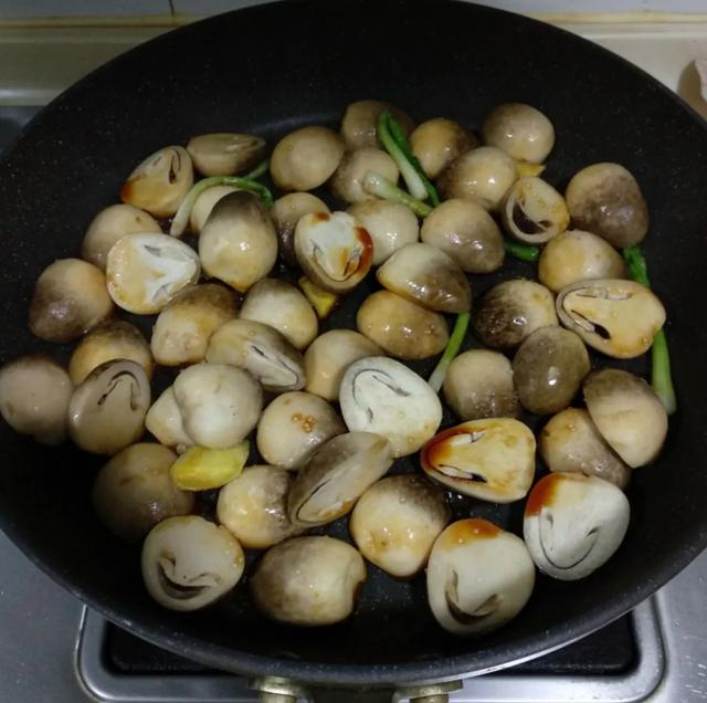 國家蘑菇地理：中國哪里的蘑菇最好吃？