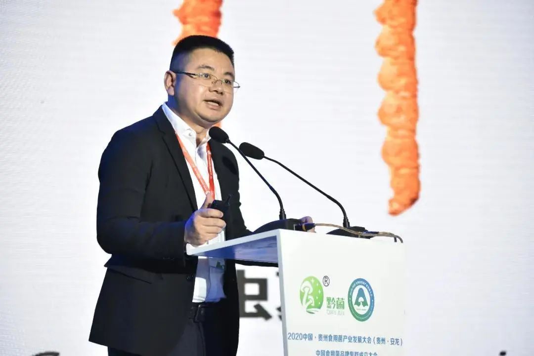 https://mmbiz.qpic.cn/mmbiz_jpg/tViaTicjwibVZmgEXXCALToc7mAB2rFo1LnbqdTZUg3ib087TUYjQeBvr5eCfJ7gtxTs9UerZmicJpjGkSUD4WTyK4w/640?wx_fmt=jpeg